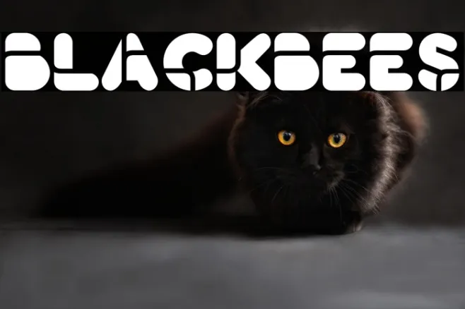BlackBees Example 2