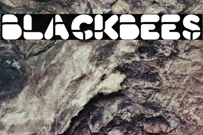 BlackBees Example 3