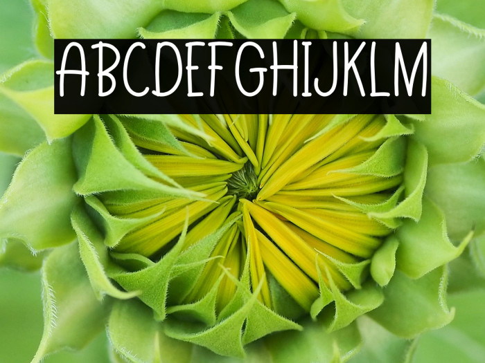 BlackBirdDEMO-Regular Example 3