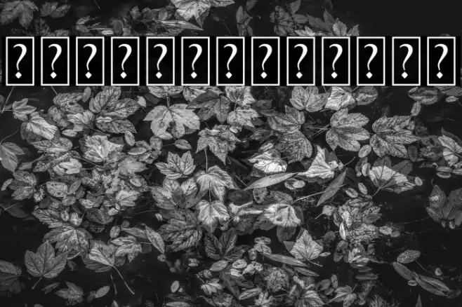 BlackBloodOrnament Font examples