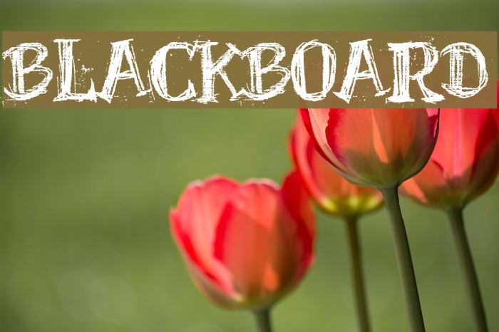 BlackBoard Font examples