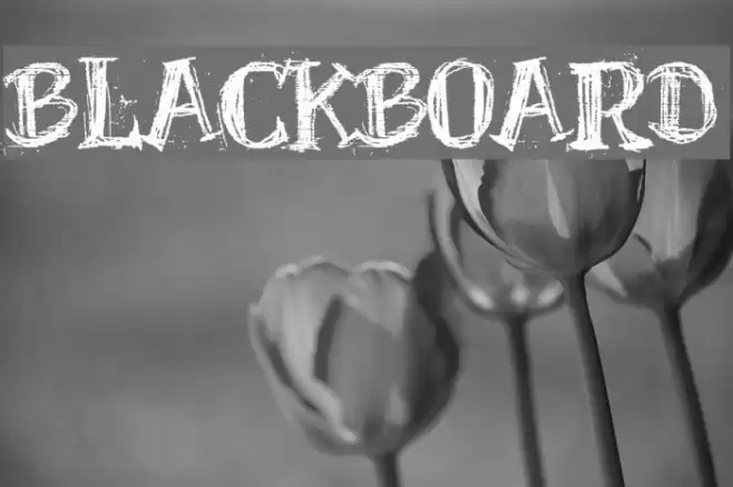 BlackBoard Fuentes examples