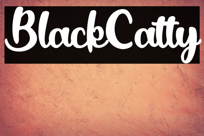 BlackCatty Example 2