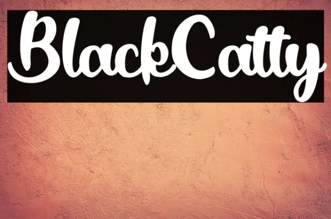 BlackCatty Example 2