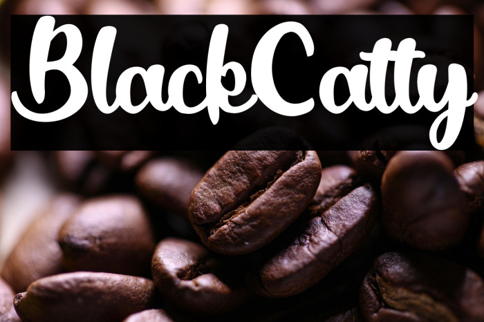 BlackCatty Example 3