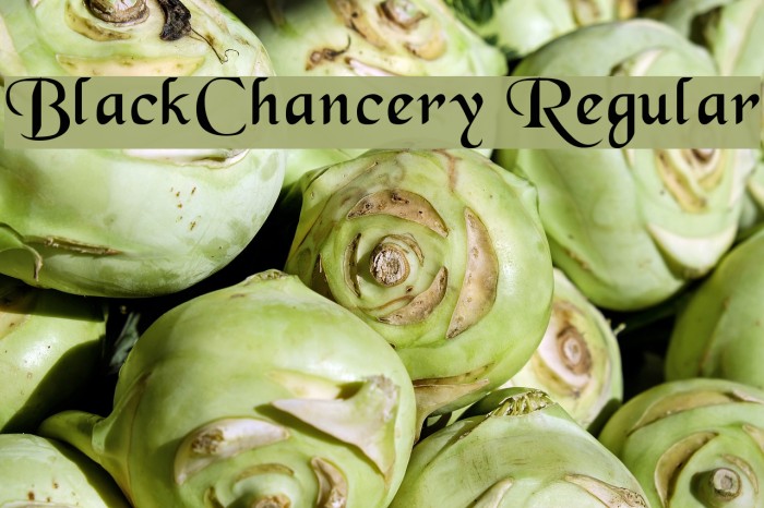 BlackChancery Regular Font examples