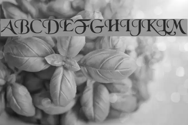 BlackChancery Font examples