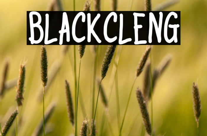 BlackCleng Example 1