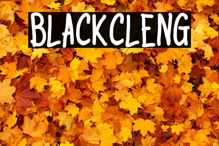 BlackCleng Example 3