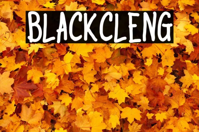BlackCleng Example 3