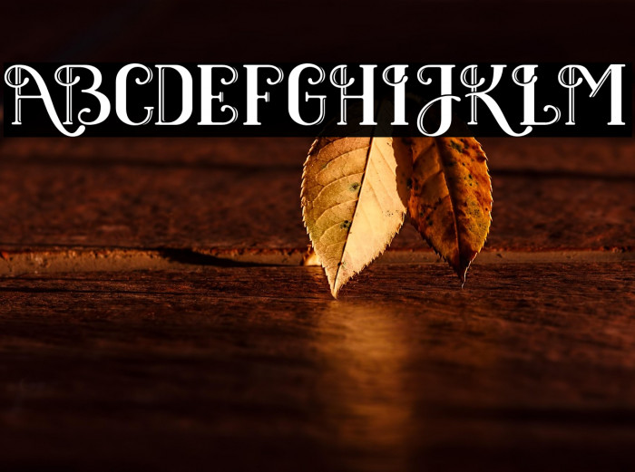 BlackClover Example 1