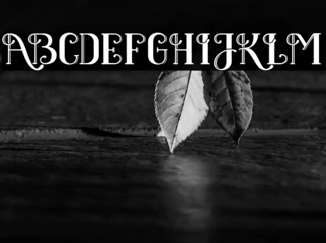 BlackClover Font examples