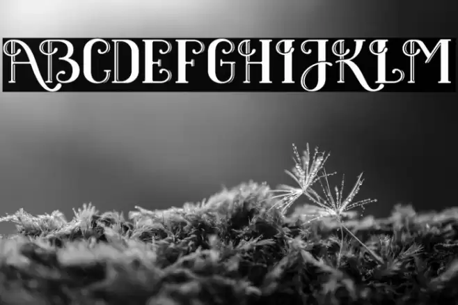 BlackClover Font examples