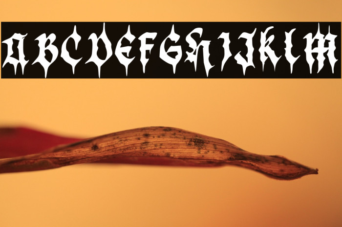 BlackDemon Example 2