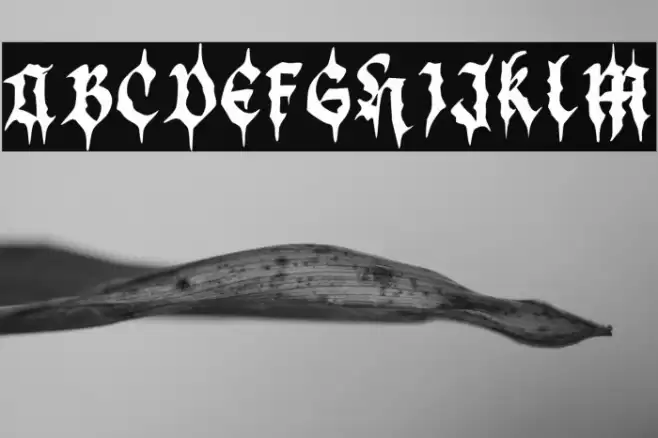 BlackDemon Font examples