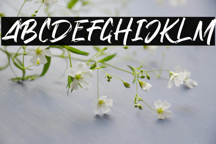 BlackDirty Example 1