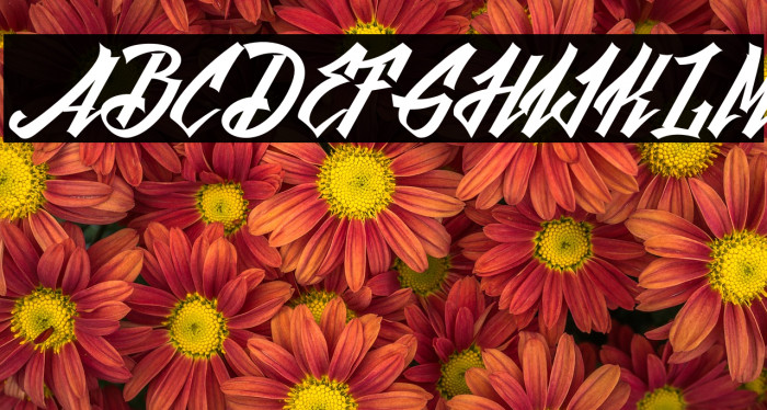 BlackFuture Example 2