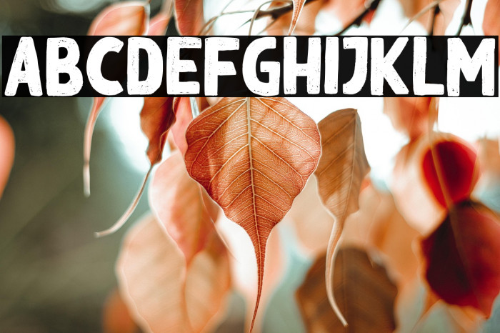 BlackGround Example 1