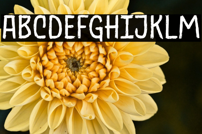 BlackGrounds-Regular Example 3