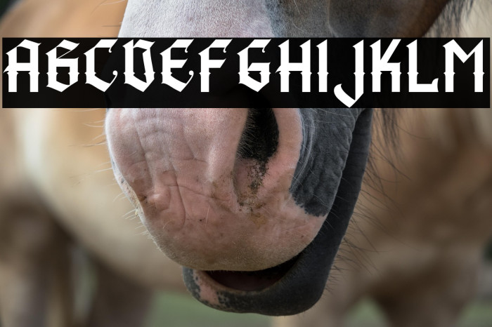 BlackGunslinger Example 2