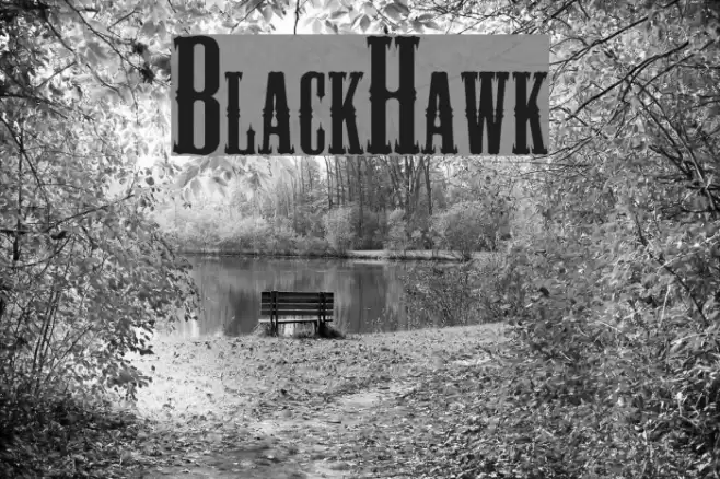 BlackHawk Font examples