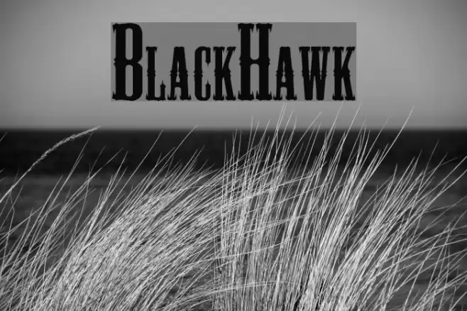 BlackHawk Font examples
