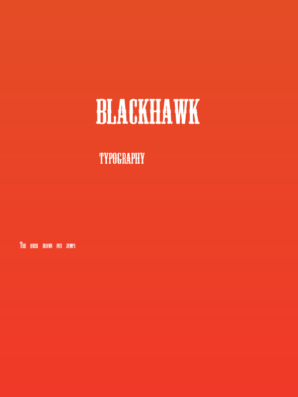 BlackHawk Poster