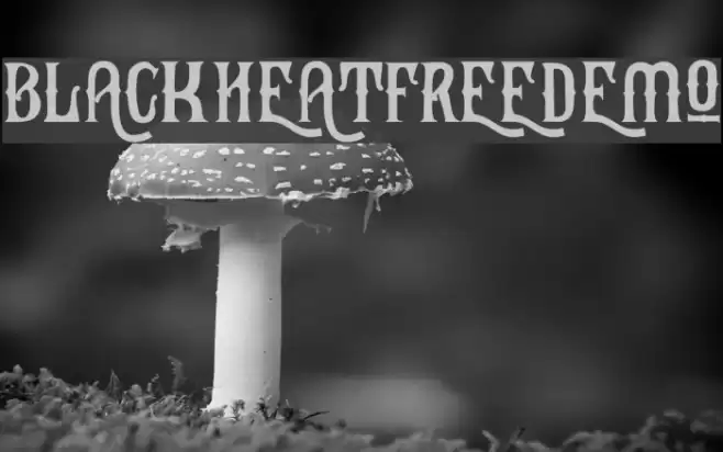 BlackHeatFreeDemo Font examples