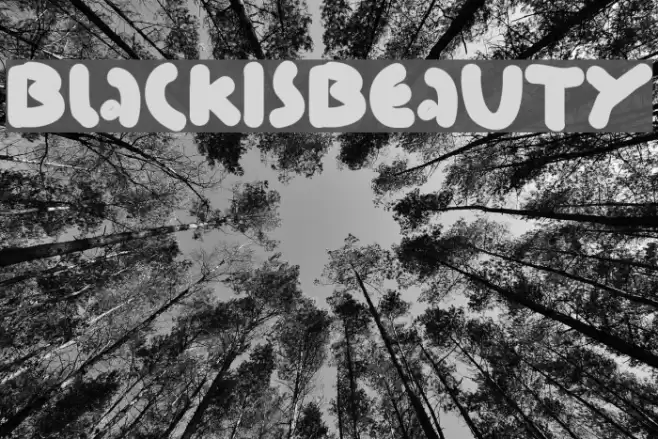BlackIsBeauty Font examples