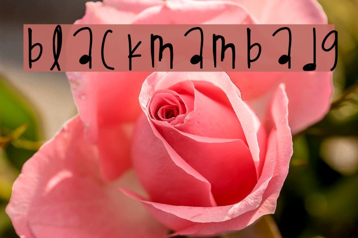 BlackMambaDg Example 3