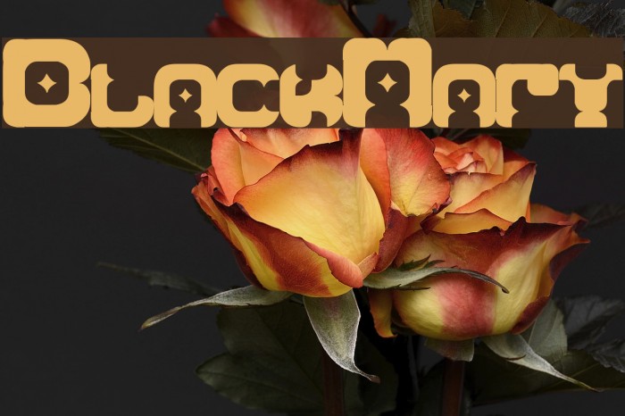 BlackMary Font examples