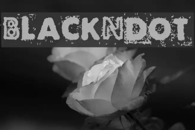 BlackNdot Font examples