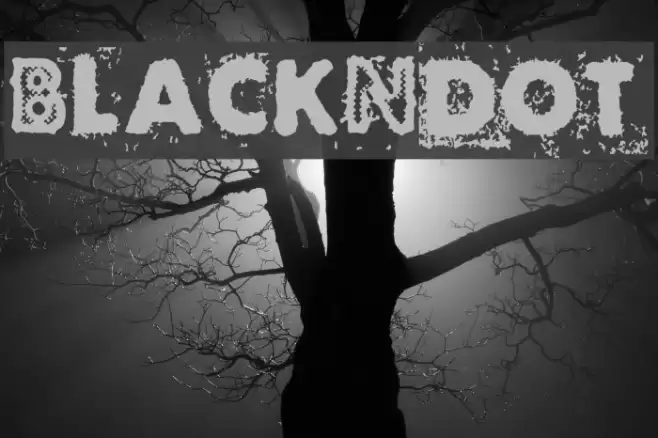 BlackNdot Font examples