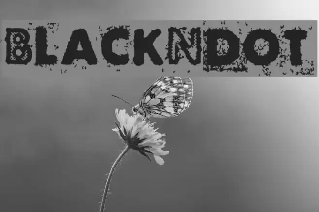 BlackNdot Font examples