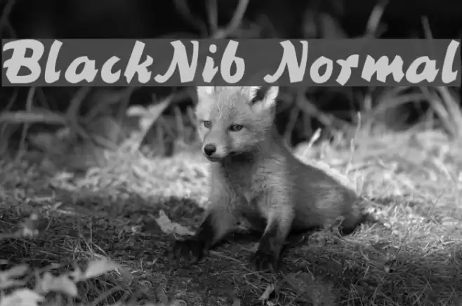 BlackNib Normal Font examples