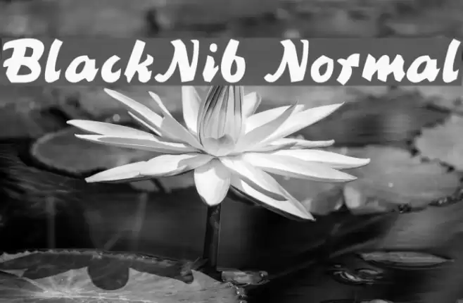 BlackNib Normal Font examples