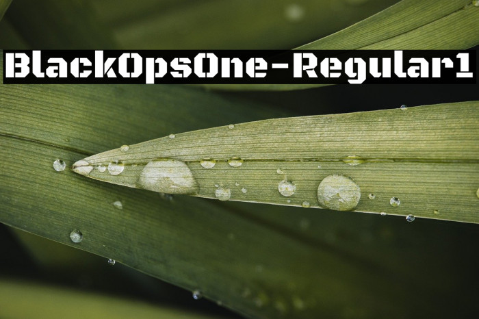 BlackOpsOne-Regular1 Example 2