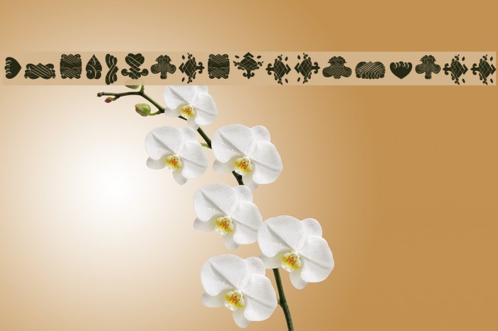 BlackOrnamentsFree Font examples