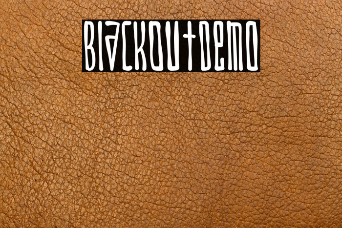 BlackOut-Demo Example 2