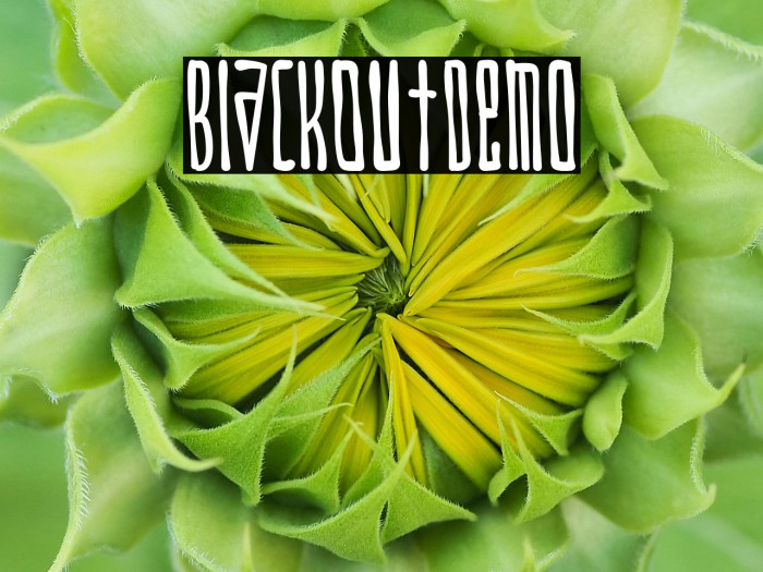 BlackOut-Demo Example 3