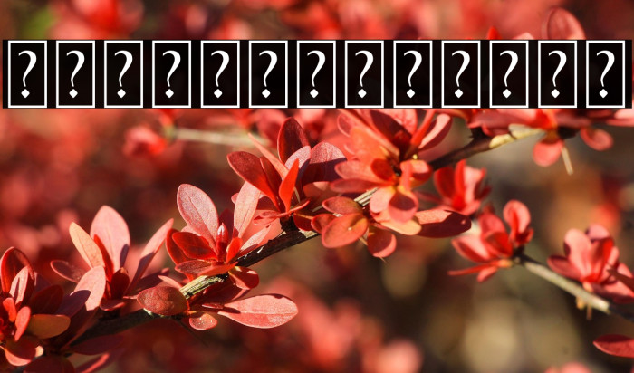 BlackPantherOrnament Example 1