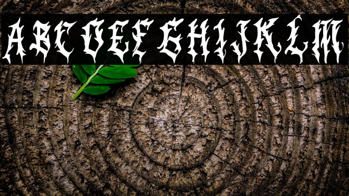 BlackPanther Example 1