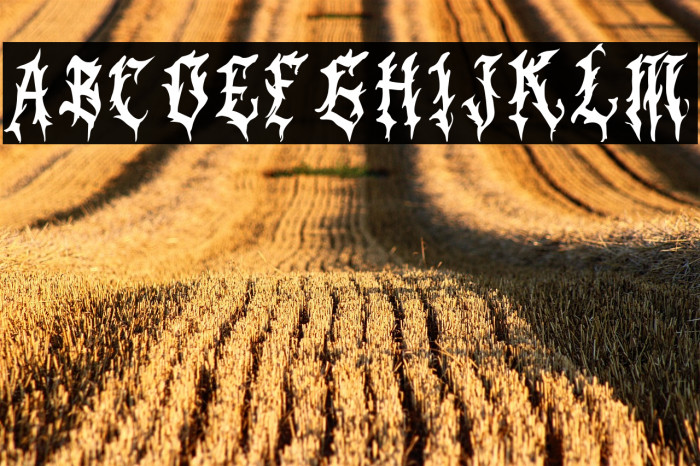 BlackPanther Example 3