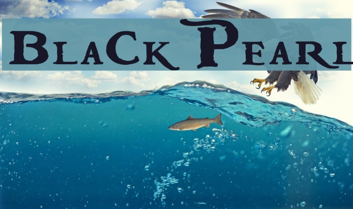 BlackPearl Font examples