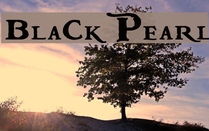 BlackPearl Font examples