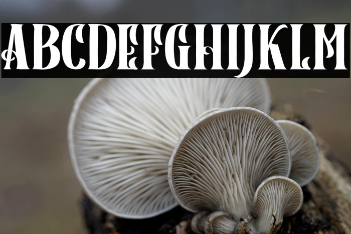 BlackRainbowSerifFREE Example 2