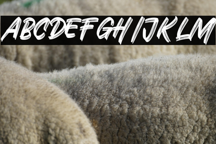 BlackRavens-Normal Example 1