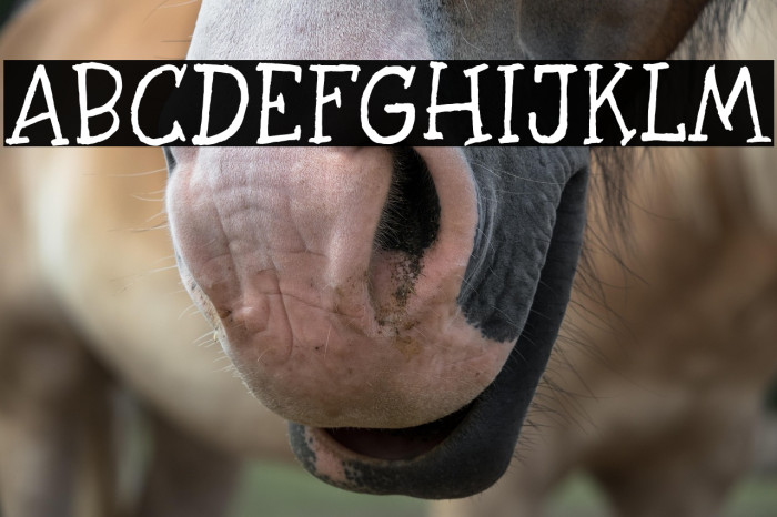 BlackRocketDemo Example 1