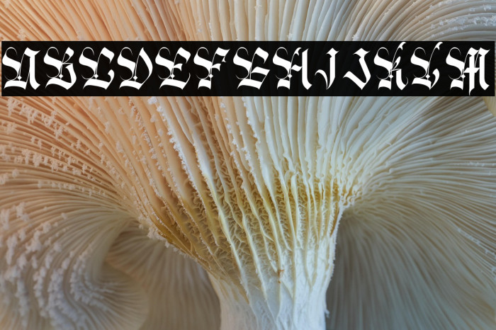 BlackRomans Example 2