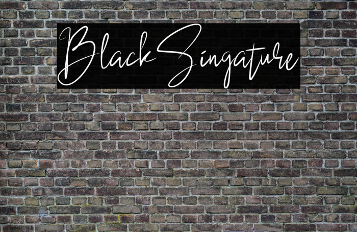 BlackSingature Example 1